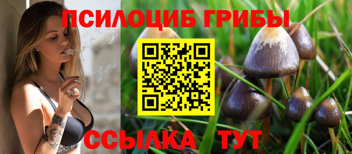 Галлюциногенные грибы Magic Shrooms  Вход с VPN  Дмитров 