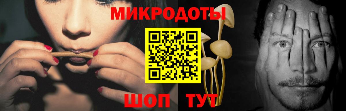Галлюциногенные грибы GOLDEN TEACHER Дмитров